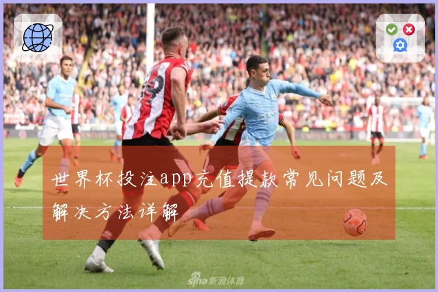 世界杯投注app充值提款常见问题及解决方法详解