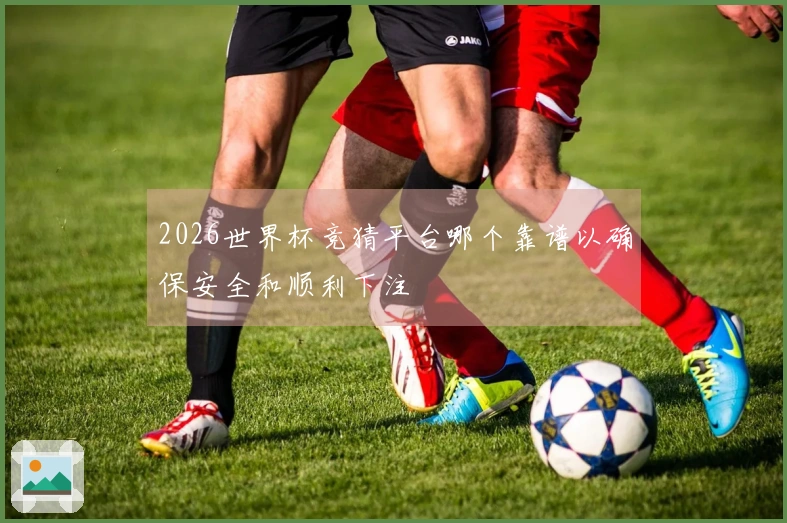 2026世界杯竞猜平台哪个靠谱以确保安全和顺利下注