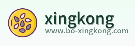xingkong Logo
